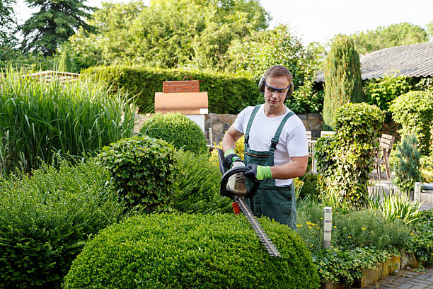 Best Landscape Design and Installation  in Osakis, MN